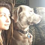Experienced House And Pet Sitter Available Countrywide