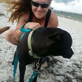 Available: Hardworking Pet Trainer in Land O Lakes, Florida