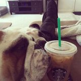 Interviewing For a Pet sitter Opportunity in or near San Pedro.