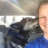 Experienced Pet-sitter
