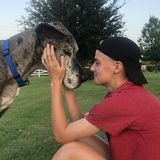 San Angelo Pet Service Provider Available For Work in Texas