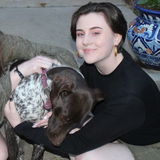 Available For a Petsitter Job in San Antonio, Texas
