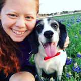 Active and loving dog sitter available today!