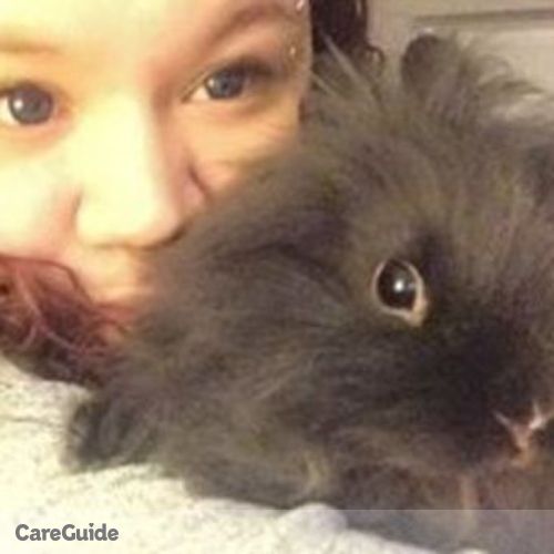 Pet Care Provider Stephanie Carson's Profile Picture