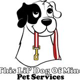 Affordable and Reliable pet care service
