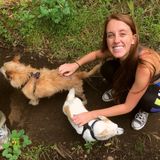 Experienced and Passionate Sitter You and Your Pet Can Rely On