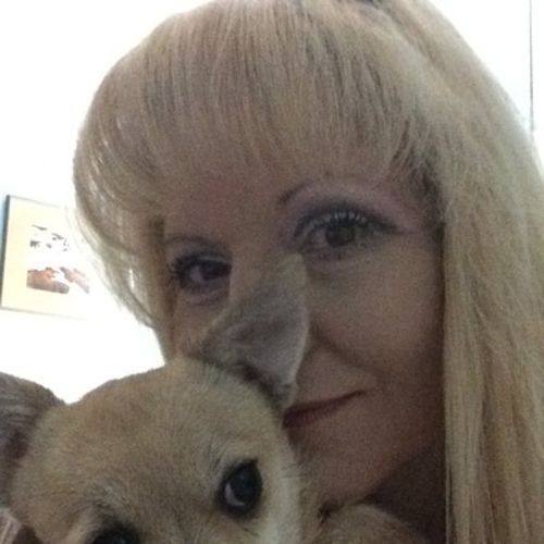 Pet Care Provider Susan F's Profile Picture