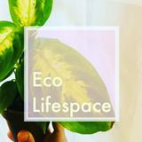 EcoLifeSpace is eco friendly natural cleaning with zero-waste practices.