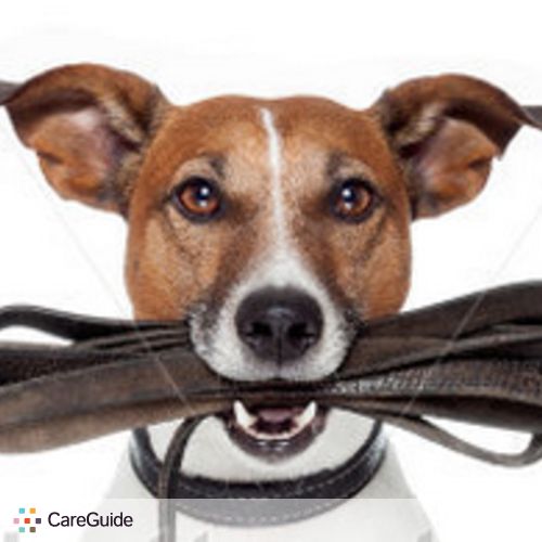 Pet Care Provider Denyelle's Profile Picture