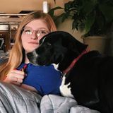 Pet-Sitter and Dog Walker based in Sioux Falls, South Dakota!