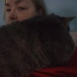 Seeking Bettendorf Animal Caregiver, Iowa Jobs