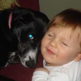 A dog lover any breed in Medford Ma.