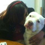 Long Beach Dog Sitter Seeking Job Opportunities in New York