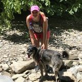 Animal Lover Looking for Jobs!
