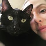 Trustworthy, Loving Pet Care and House Sitting