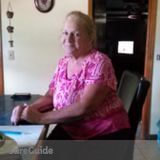 House and pet sitter
