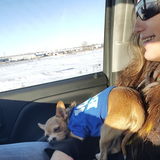 For Hire: Trustworthy House Sitter in Greeley