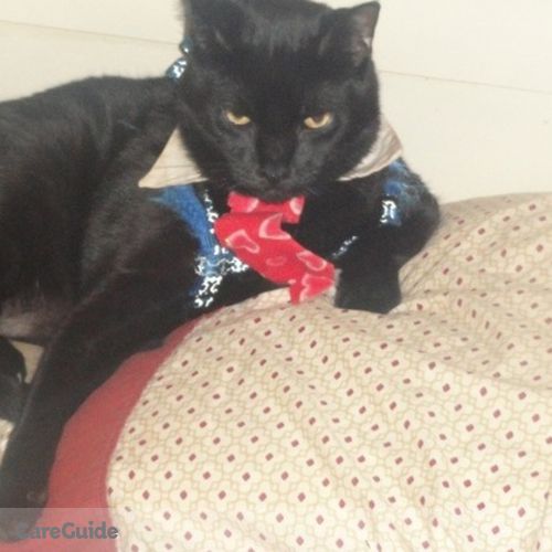 Pet Care Provider Denise S's Profile Picture