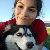 Loving Pet Care Provider in Horizon City :)