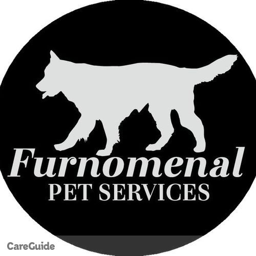 Pet Care Provider Ashley R's Profile Picture