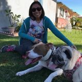 For Hire: Experienced, fun and loving Pet sitter! Doesn't mind doing extra duties if needed.