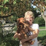 Experienced, Reliable and Loving Pet Care
