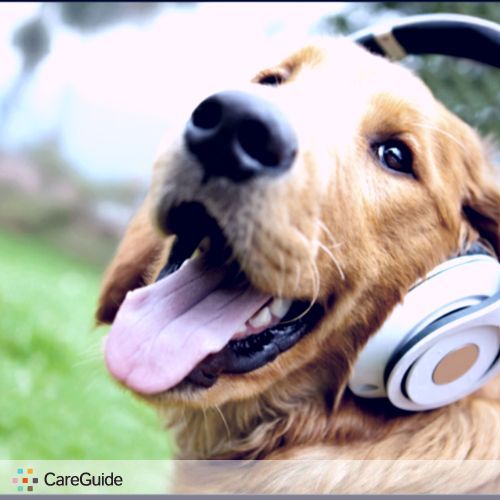 Pet Care Provider Neil R's Profile Picture