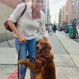 Great Pet Sitting Available Now!