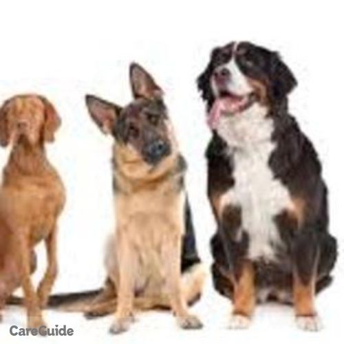 Pet Care Provider Mikes M's Profile Picture