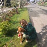 Interviewing For a Pet Sitting Professional Job in Kirkland
