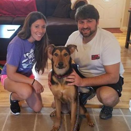 Pet Care Job Amy H's Profile Picture