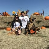 Hello, my name is Audry! Im offering dog walking and daily check ins in Pasadena, TX as well as surrounding cities.