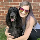 For Hire: Well Trained Dog Walker in Texarkana, Texas