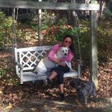 Excellent and Reliable Pet Care Provider Available