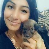Babysitter Seeking Job Opportunities in Brampton