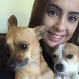 Dog Mom Walks Dogs In San Angelo