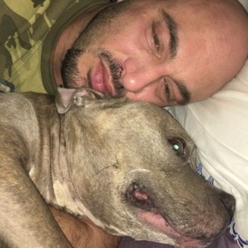 Pet Care Job Joseph Grebanier's Profile Picture