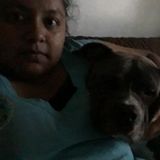 Looking For Queens Dog Walker Opportunity