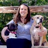 Five Star Pet Sitting & Dog Walking Professional