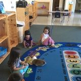 Non-profit Montessori school/daycare