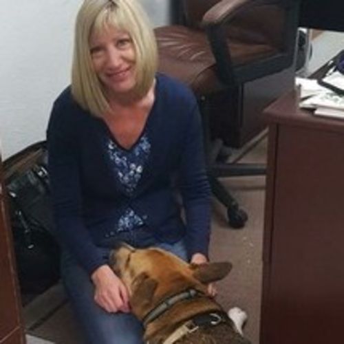 House Sitter Provider Terri Martin's Profile Picture