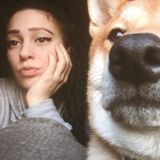 Dedicated dog walker, animal caregiver, pet sitter in Tonawanda NY