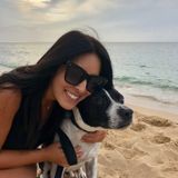 Richmond Dog and Cat Sitting Professional Interested In Job Opportunities in Greater Vancouver