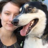 Loving and passionate animal care-giver available immediately.