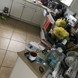 Detailed Reliable Housekeeper