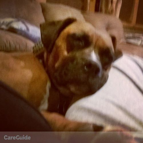Pet Care Provider Randa C's Profile Picture