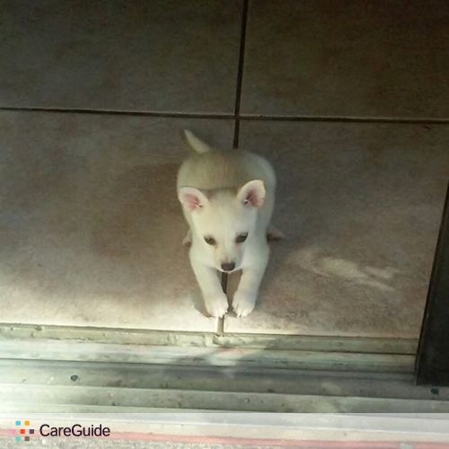 Pet Care Provider Kathy H's Profile Picture