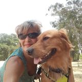 Hi, my name Josie I have been house/pet/plant/sitting for years and can provide references.