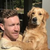 Im Aussie Ben : ) Dog walker, pet sitter, in Saint-Lambert, Quebec