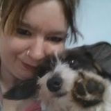 My name is Jessica, I have 12 years experience working with dogs. I'm dependable, flexible & available immediately